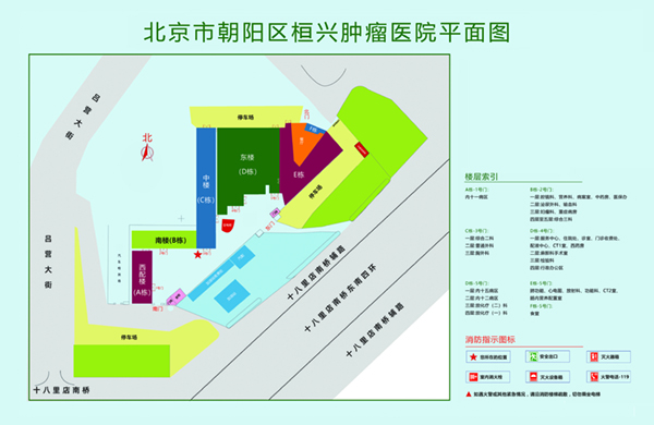 少萝舔鸡巴被c出水北京市朝阳区桓兴肿瘤医院平面图